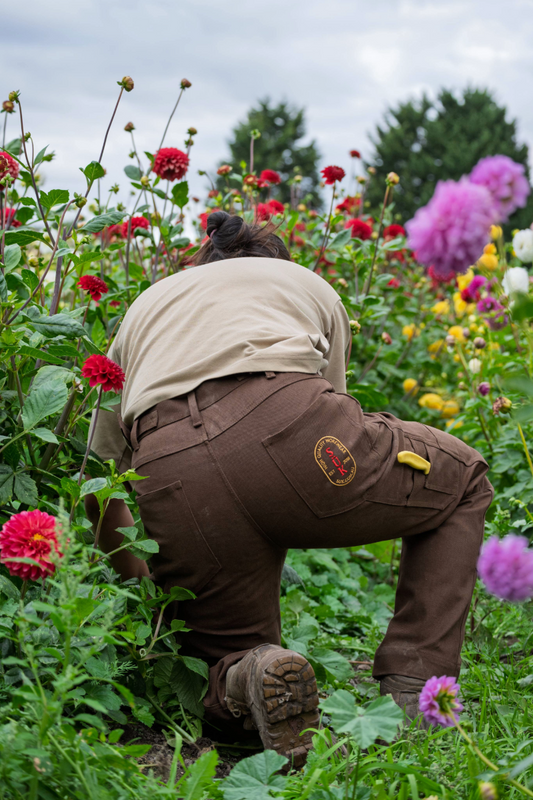 Canvas 2 Way Pants - Umber
