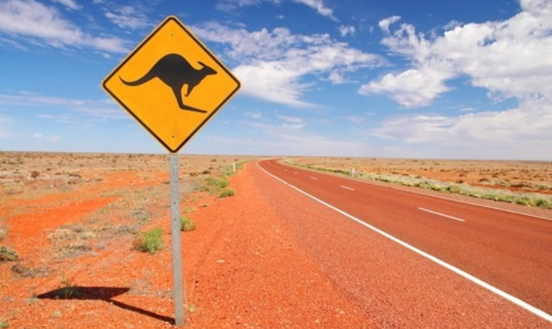 TERROR AUSTRALIS: Aussie Slang