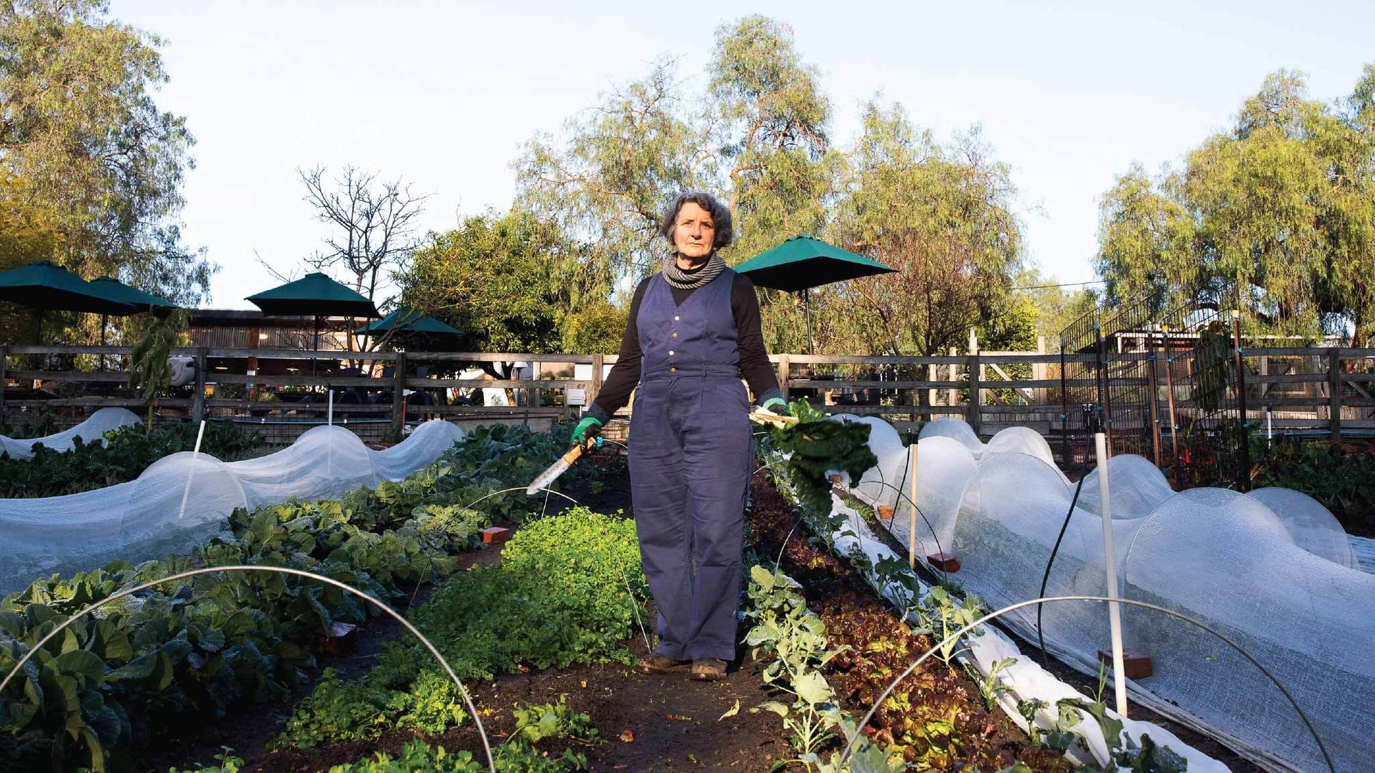 Climate Month at SÜK